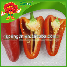 hot sale red sweet peppers yellow green pepper from China